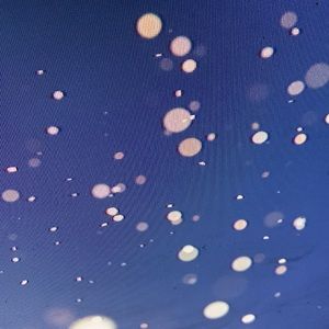 Meet your Posher, LouWopp